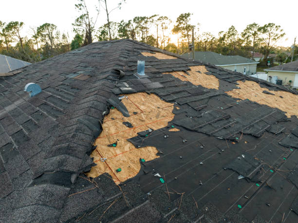 Best Storm Damage Roof Repair  in Diamond, IL